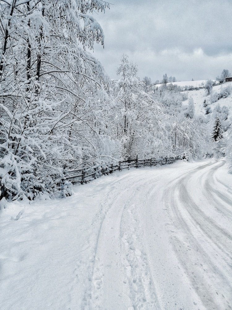 Photograph by Maida Bralić