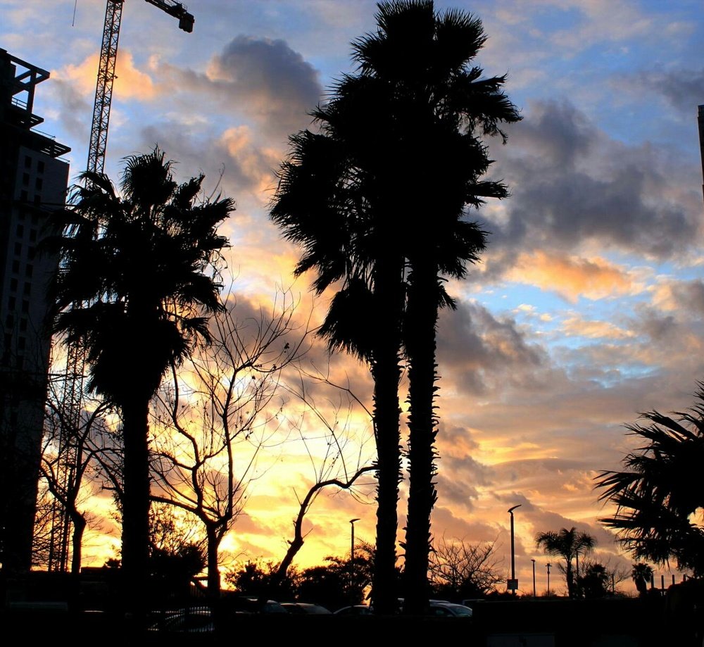 Фотография автора Алла Черноморская