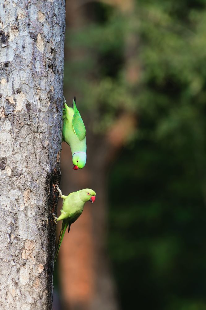 Photograph by Preet saluja