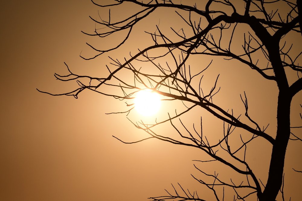 Photograph by Preet saluja