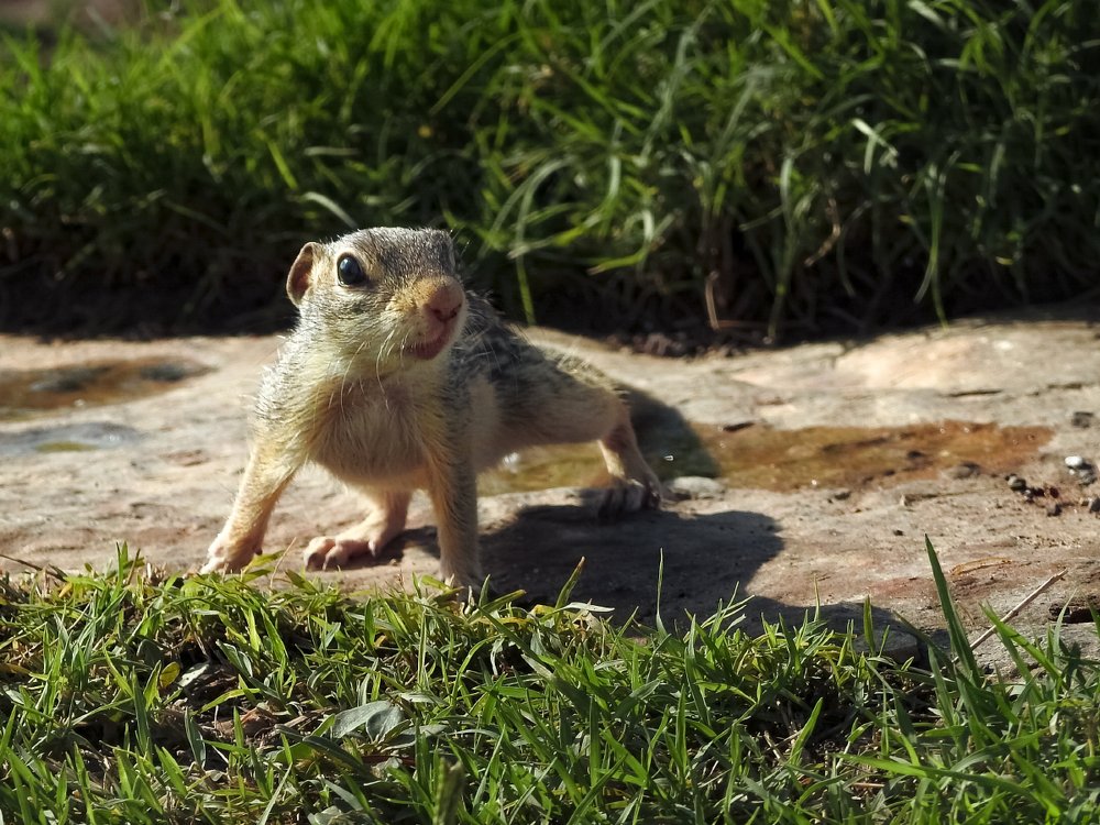 Photograph by Евгений Шварцман