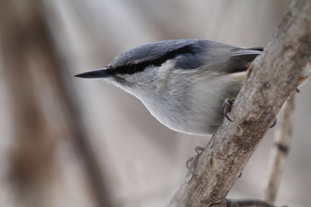 Photograph by Георгий Белов