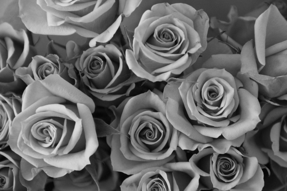 Photograph by Александра