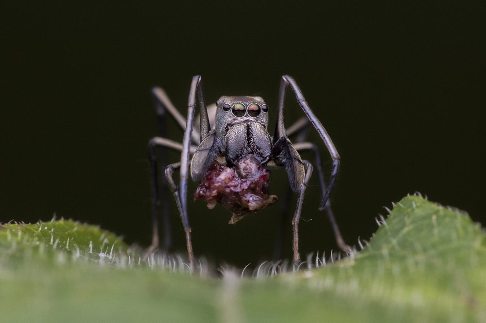 Photograph by Subrata Das