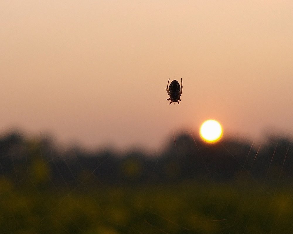 Photograph by Rahul Dey