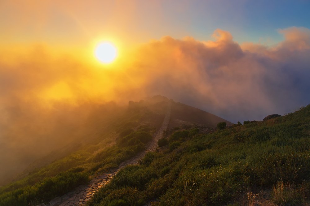 Photograph by Вера Лазарева