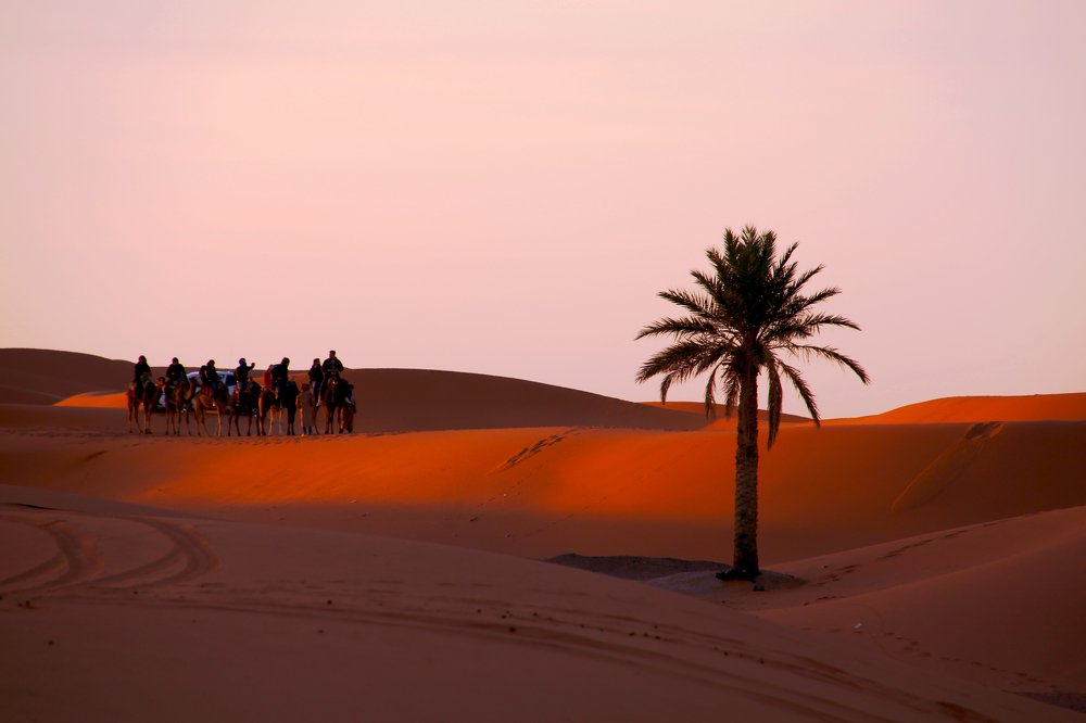 Sunrise in the Sands