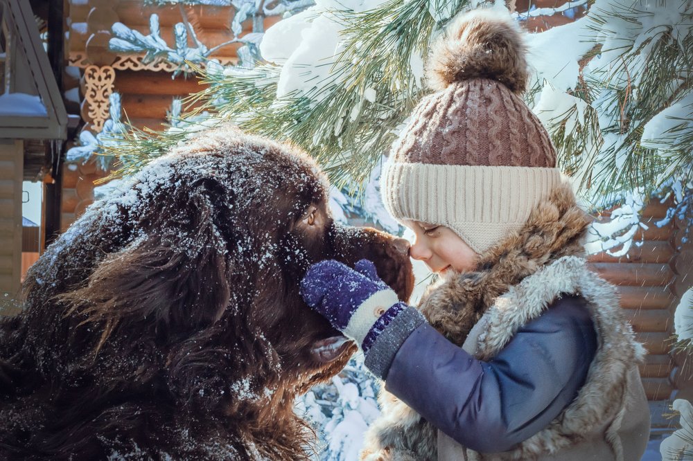 Photograph by Лис Ната