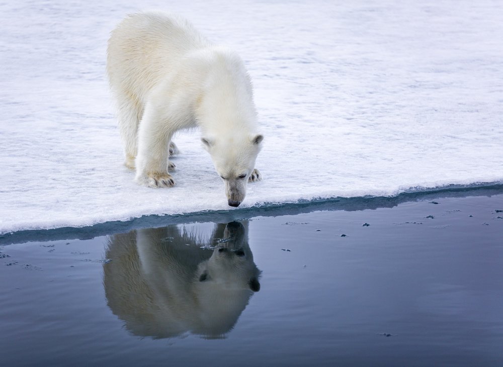 Photograph by Ruzdi Ekenheim