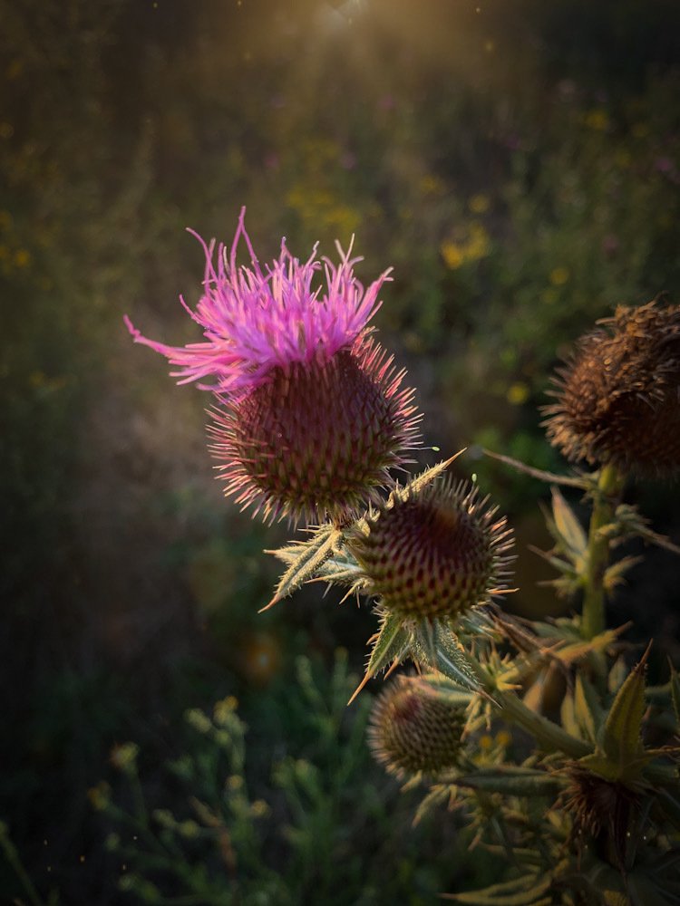 Photograph by Марина Хавронина