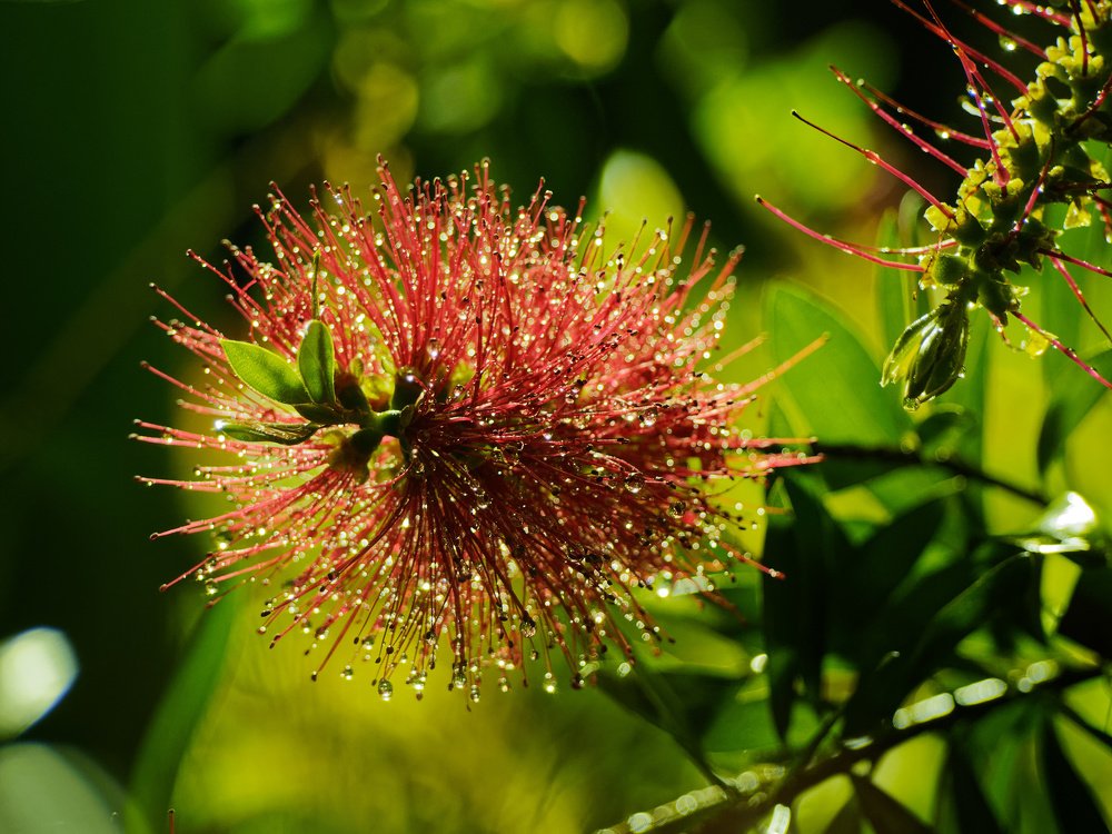 Не знаю что это.