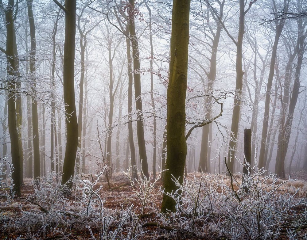 Photograph by Андрей Ожерельев