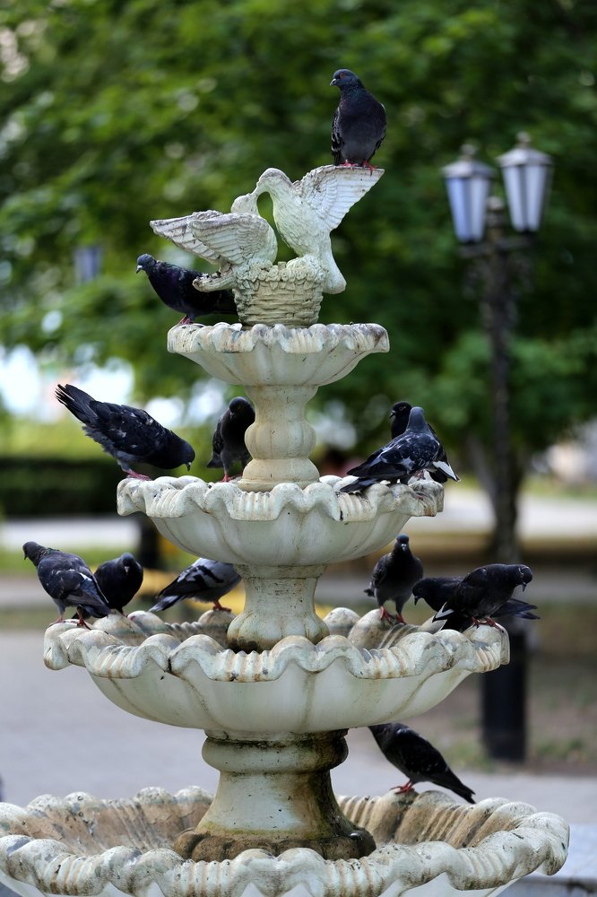 Photograph by Унку Юрий