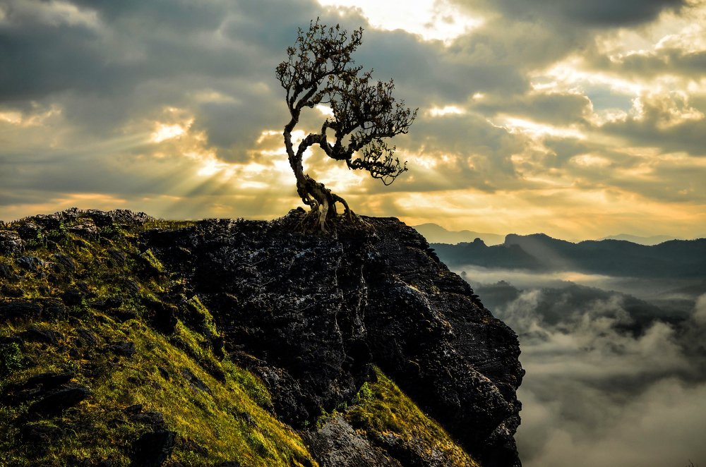 Photograph by ืnikom konkaew