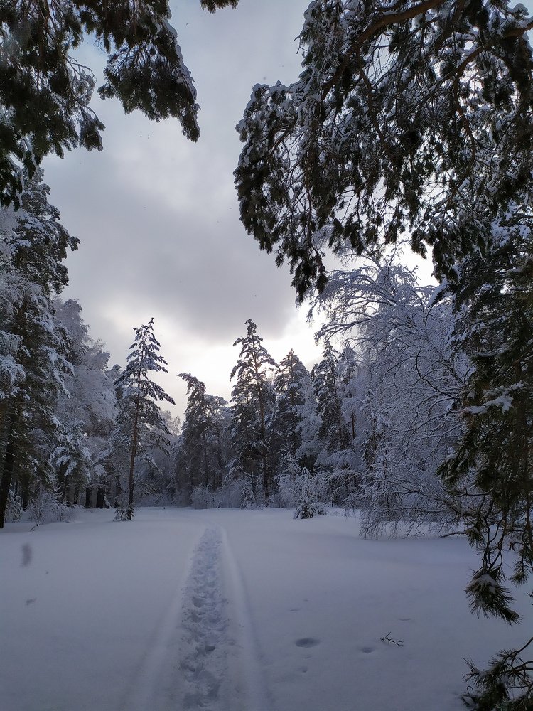 Photograph by Сергей Юрков