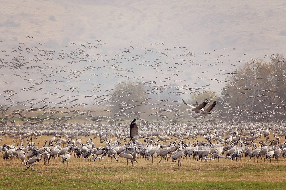 Photograph by Olga SAVINA