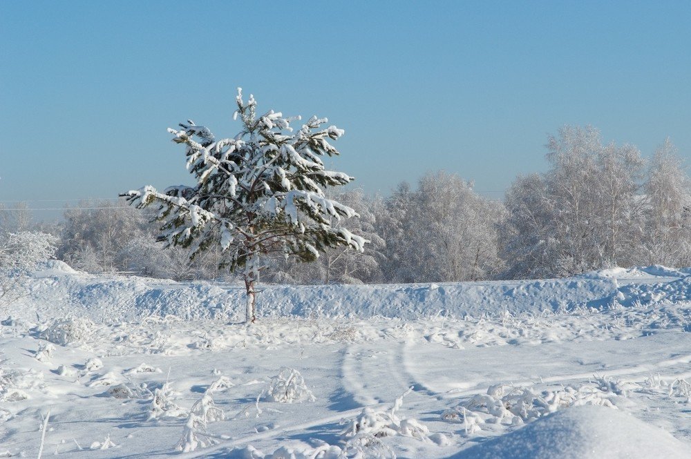 Photograph by Алексей Марков