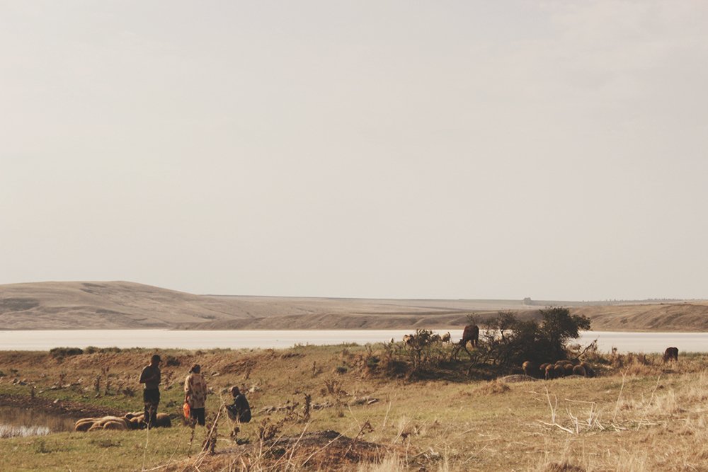 Photograph by Yulia Parfenova