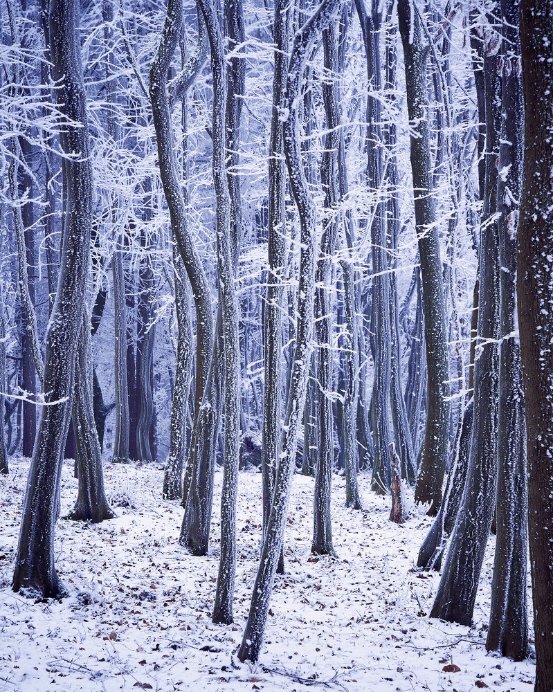 Photograph by Tomas Haluska