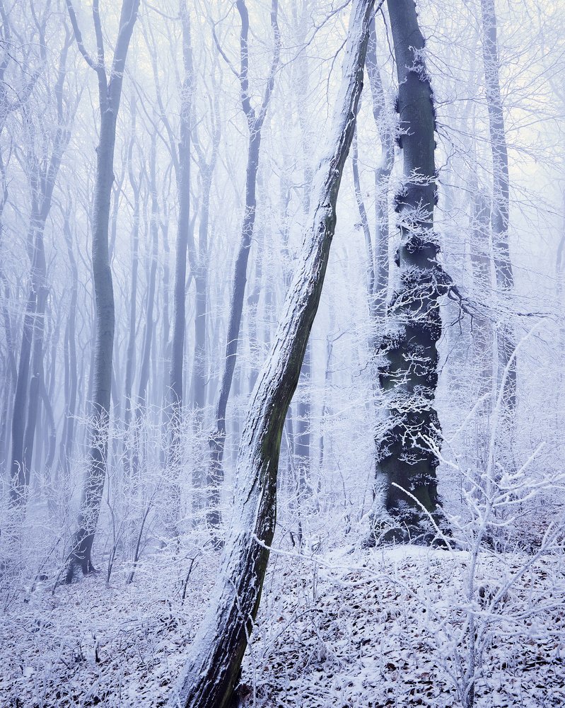 Photograph by Tomas Haluska