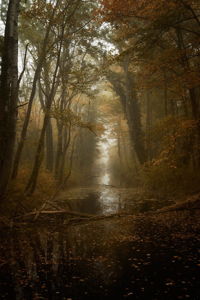 Photograph by Tomas Haluska