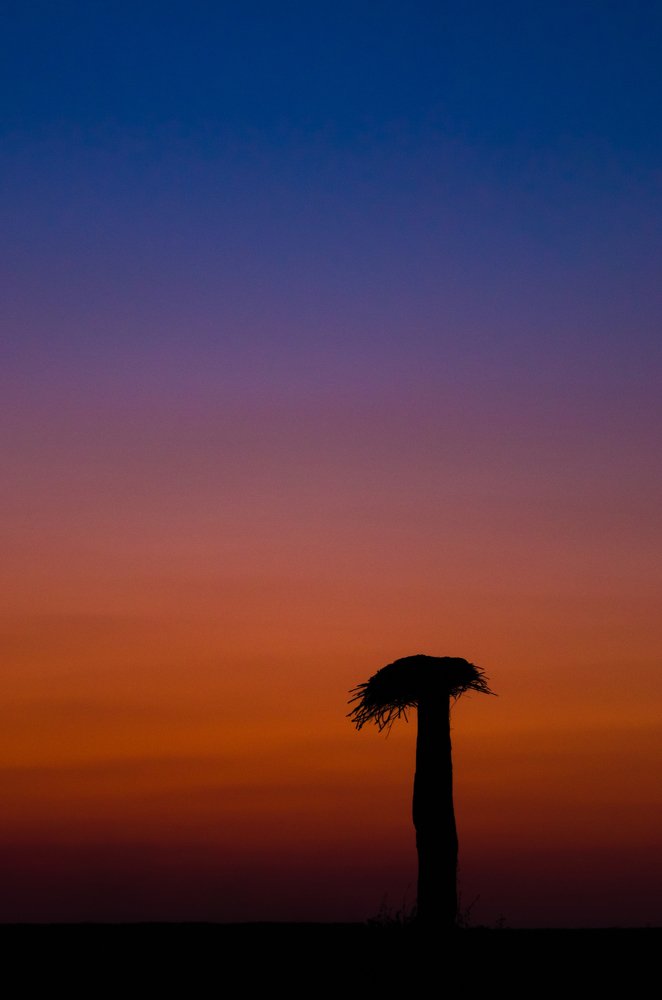 Photograph by Анатолий Мироненко