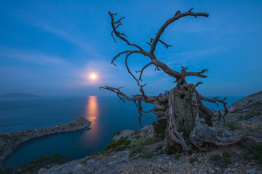 Photograph by Николай Кононов