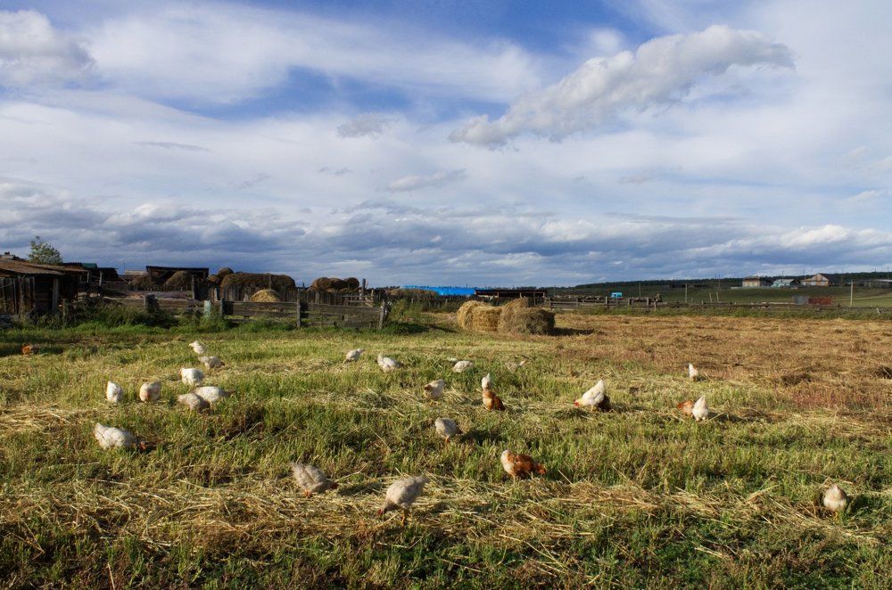 Фотография автора Сергей Козельский