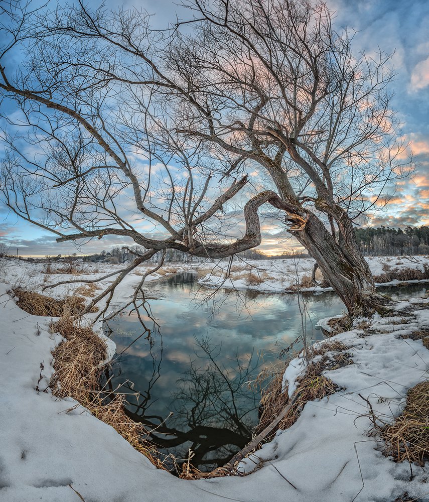 Photograph by Николай Андреев