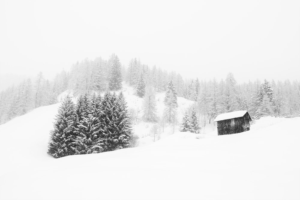 Фотография автора Василий Рябовол