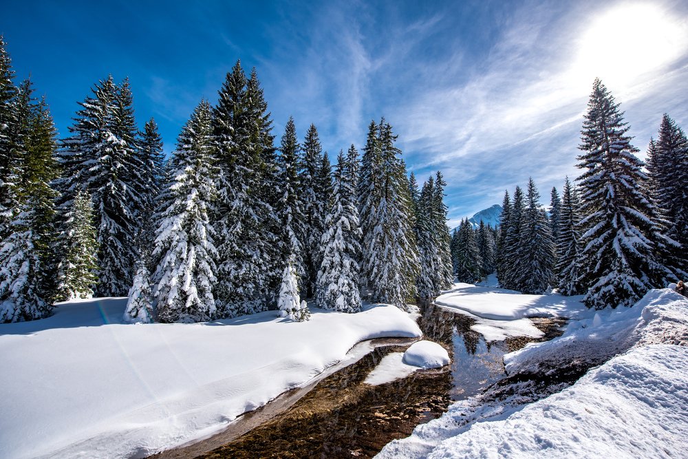 Photograph by Антон Новгородов