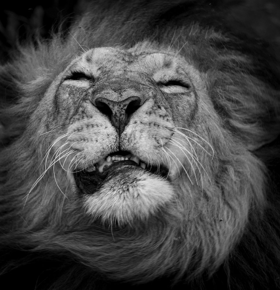 Photograph by  Sajeevkumar