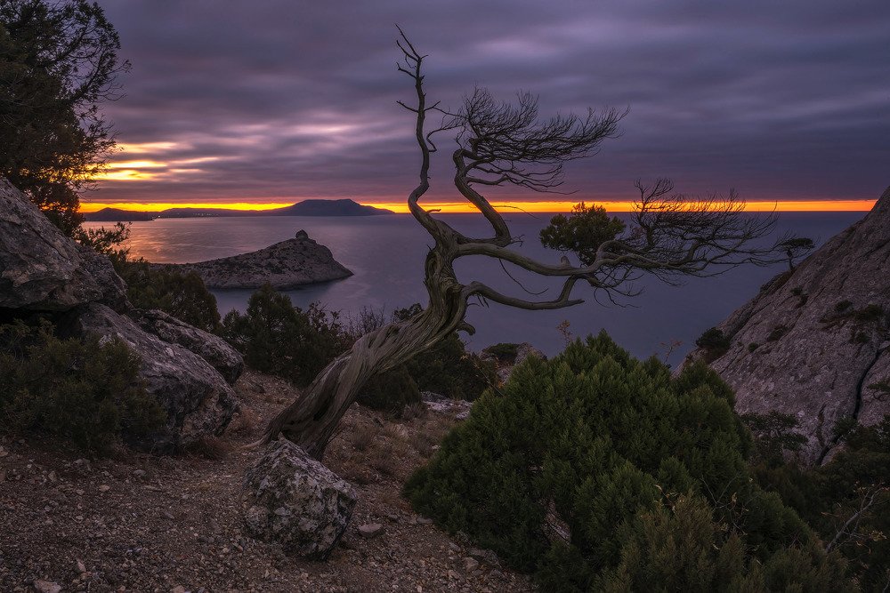 Photograph by Николай Кононов