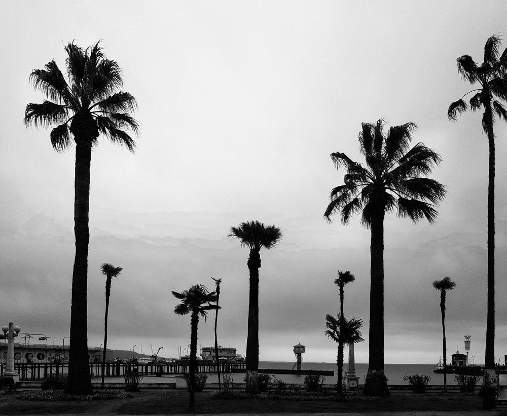 Photograph by Лана Агрба