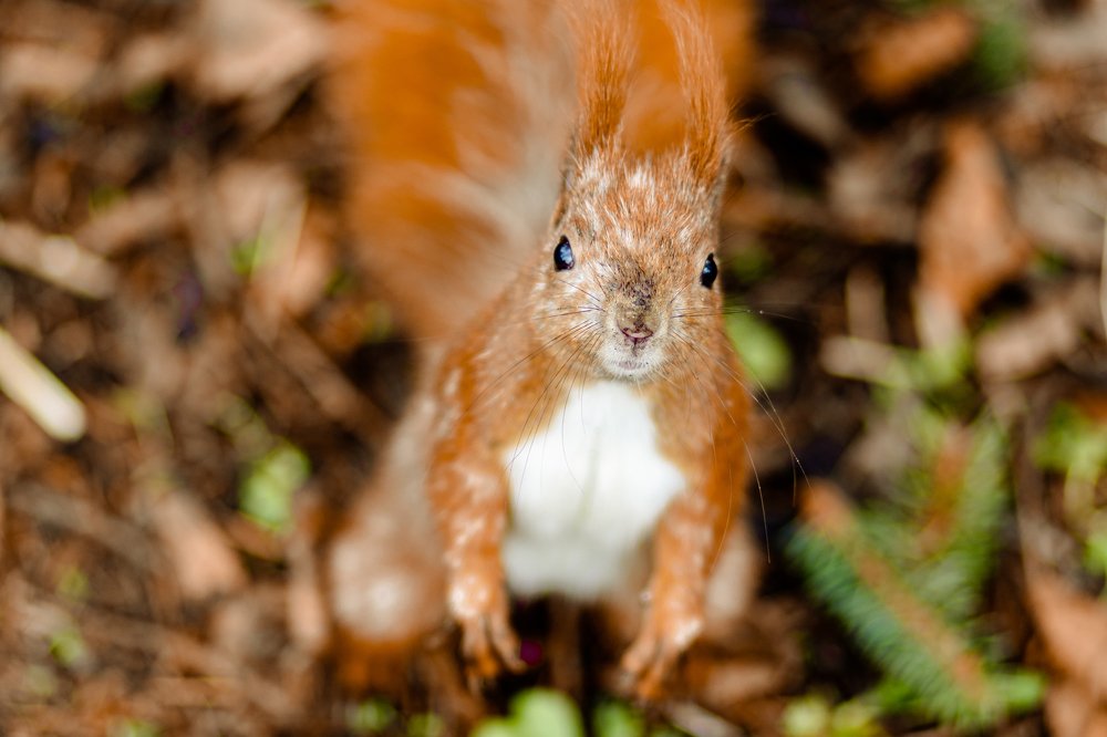 Photograph by Владимир
