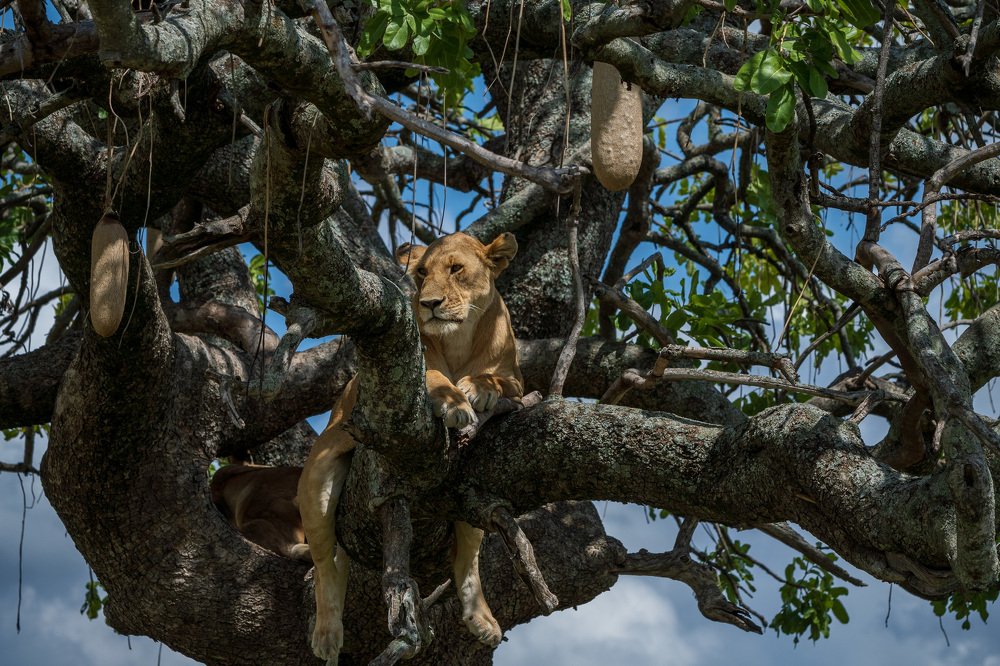 Photograph by  Sajeevkumar