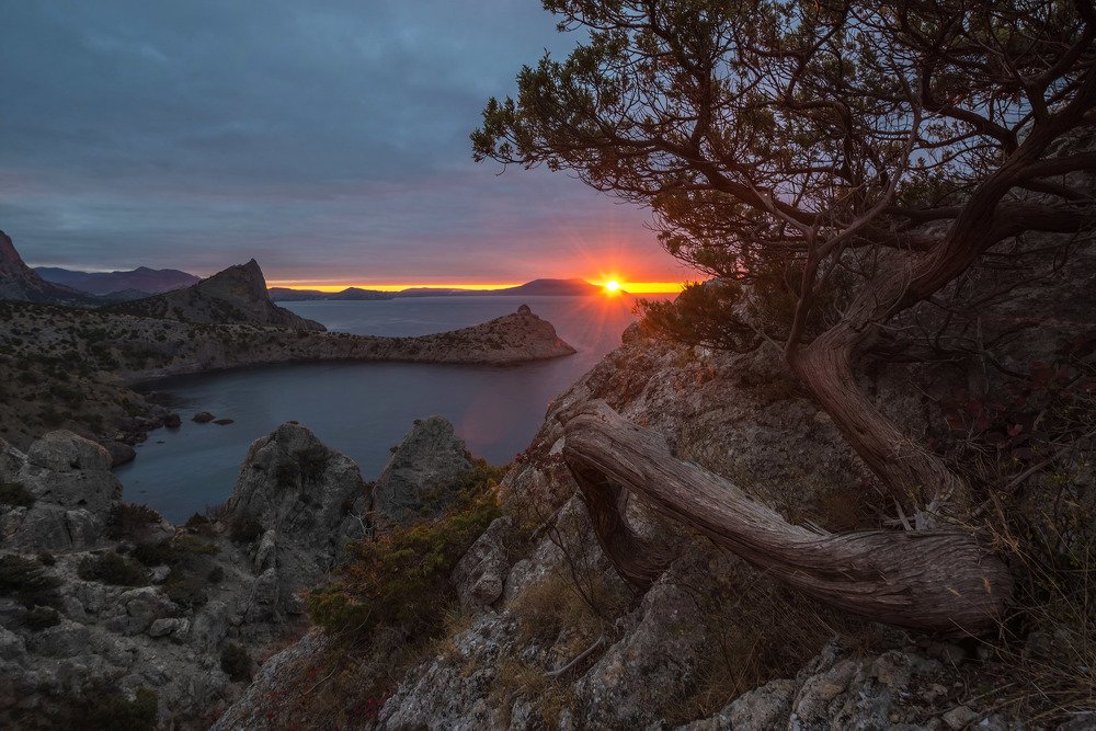 Новосветская утренняя геометрия