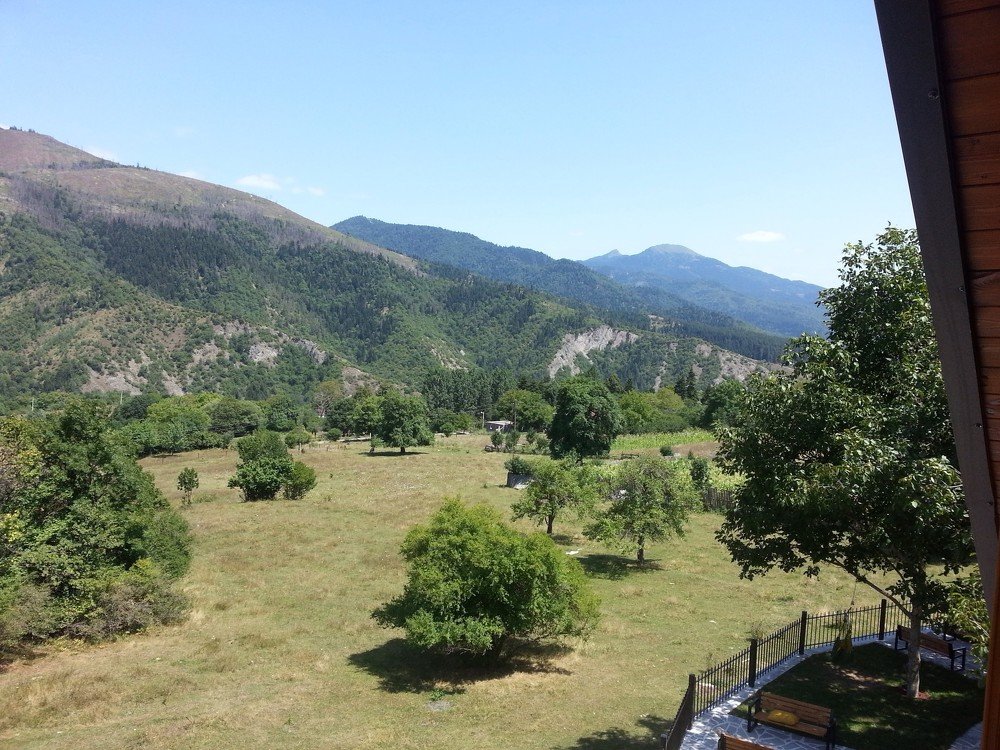 Photograph by Ламара Авалишвили