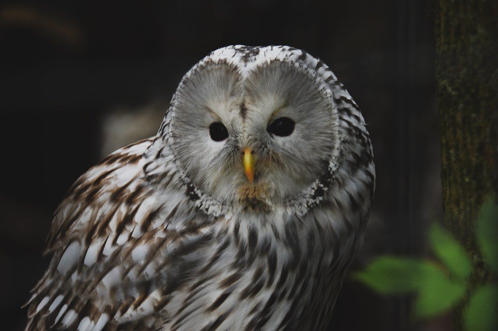 Photograph by Данил Стафеев