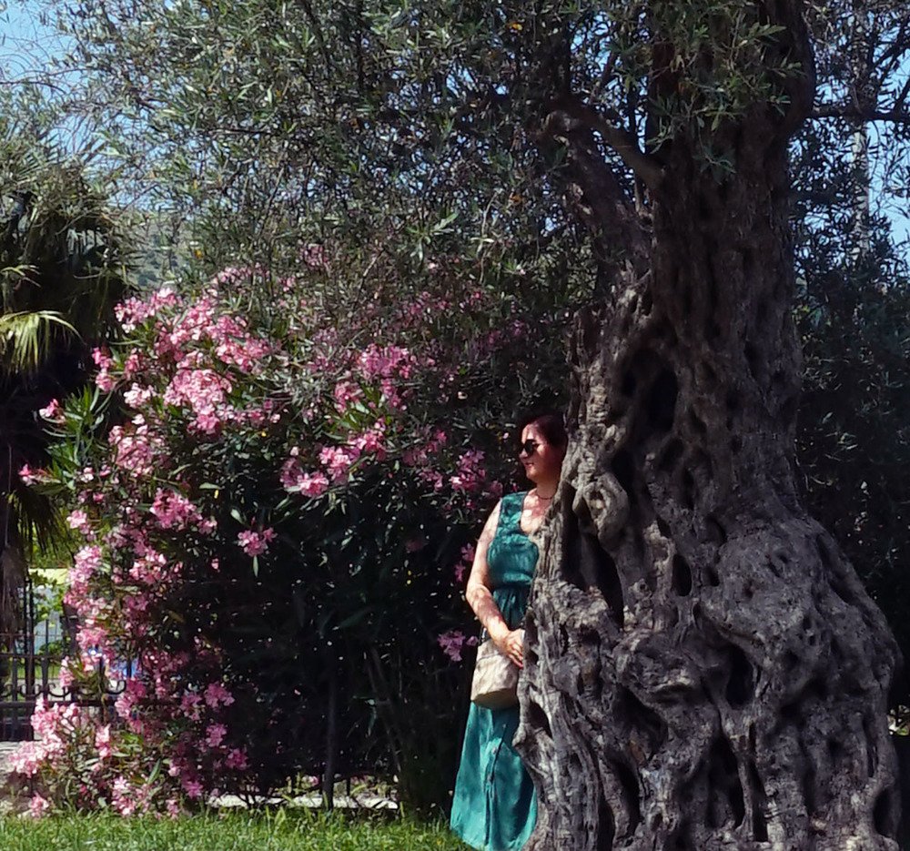 Photograph by Светлана Иванова