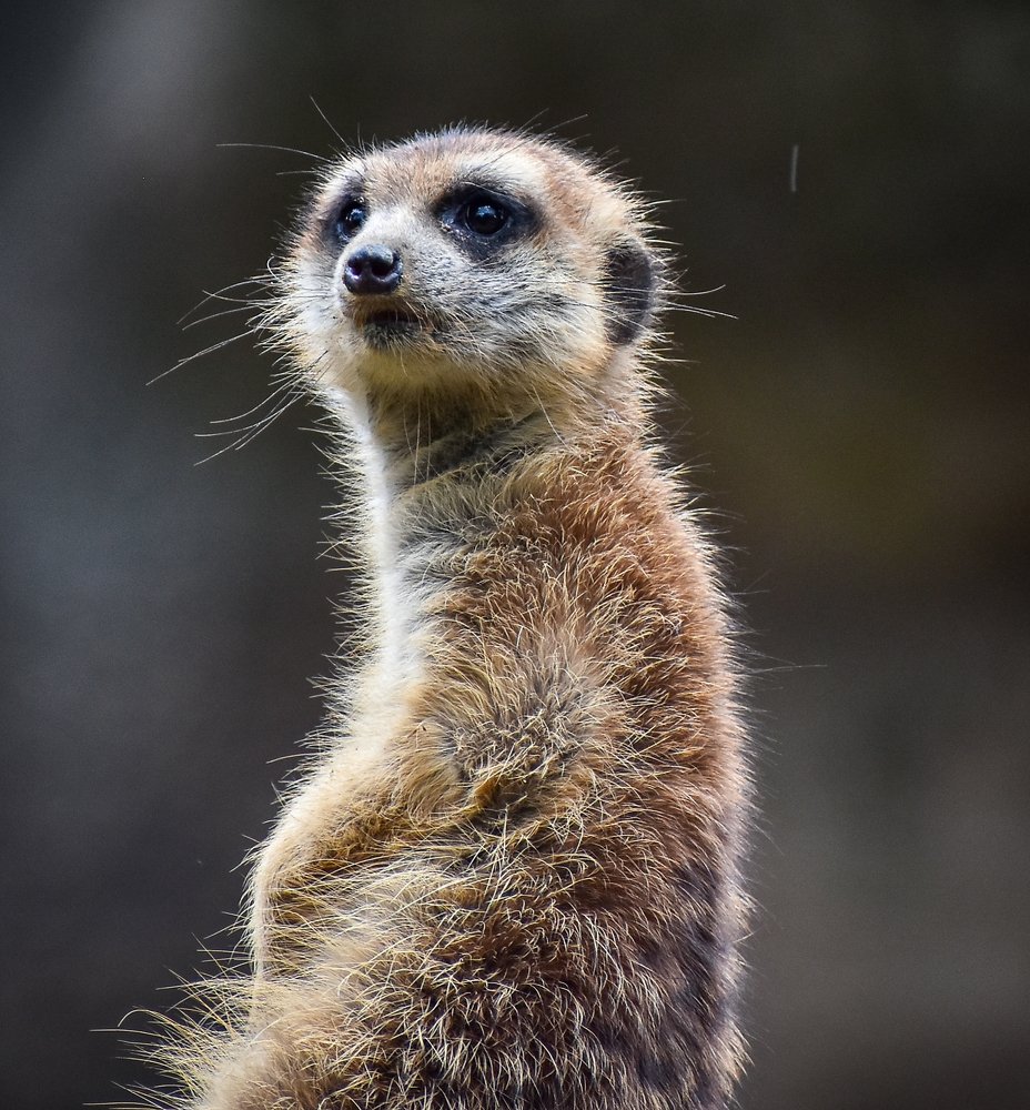 Photograph by Nicholas Ng