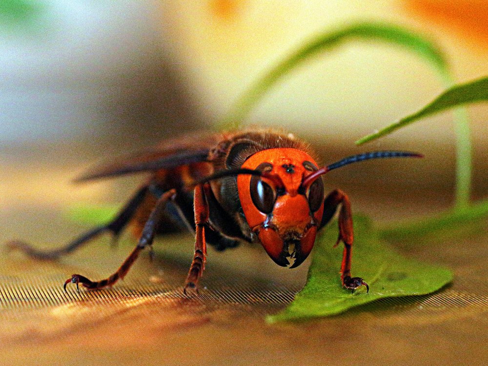 Photograph by Виктор Егоров