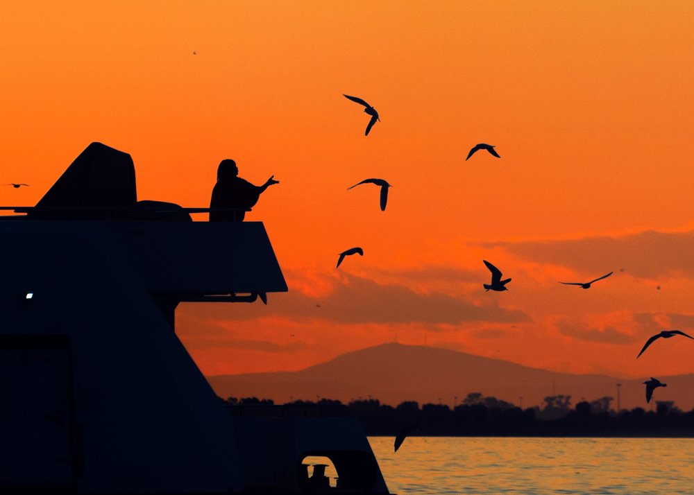 Photograph by mustafa yagci