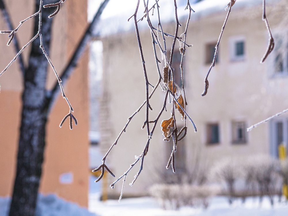 Photograph by Вячеслав Баширов