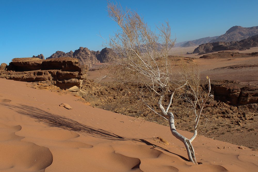 Photograph by Yana Kaziulia