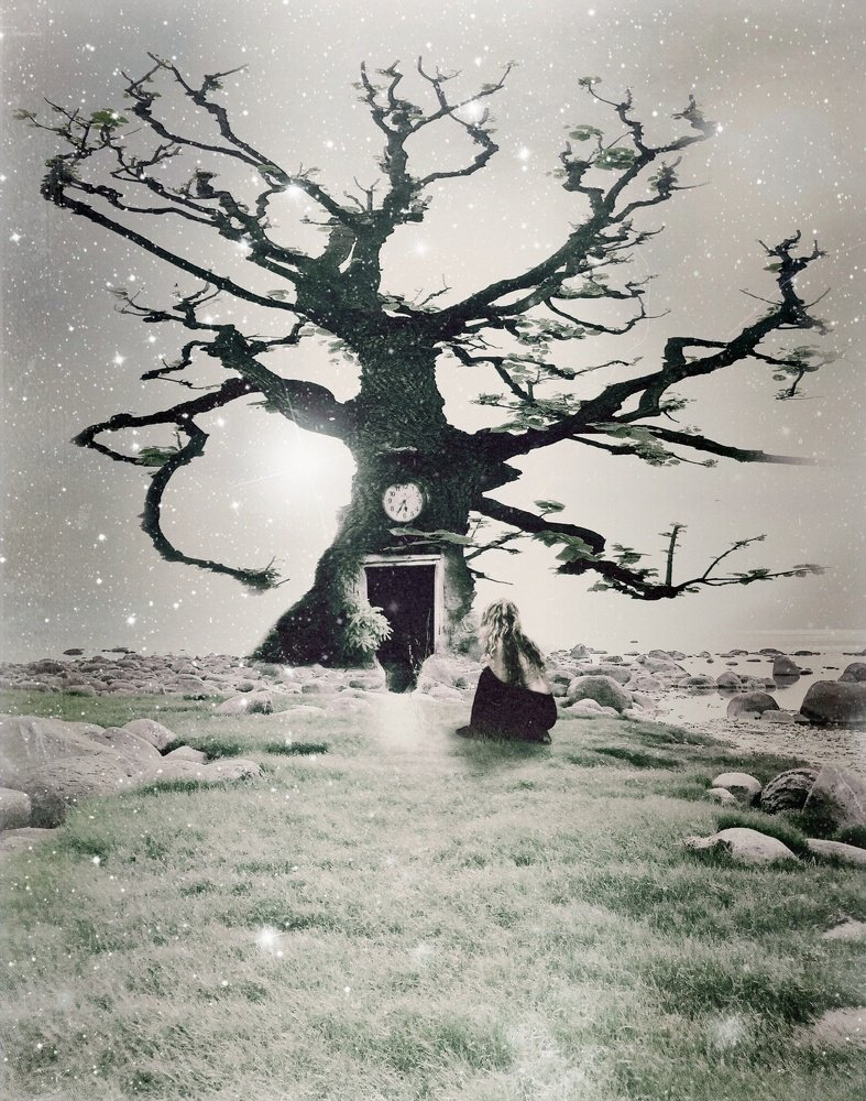Photograph by Анна