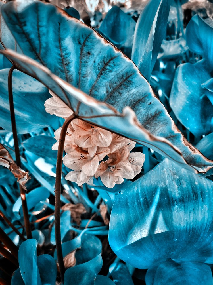 Фотография автора Екатерина Ковшова