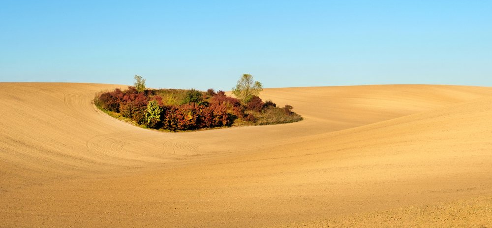 Photograph by Саша Сокол