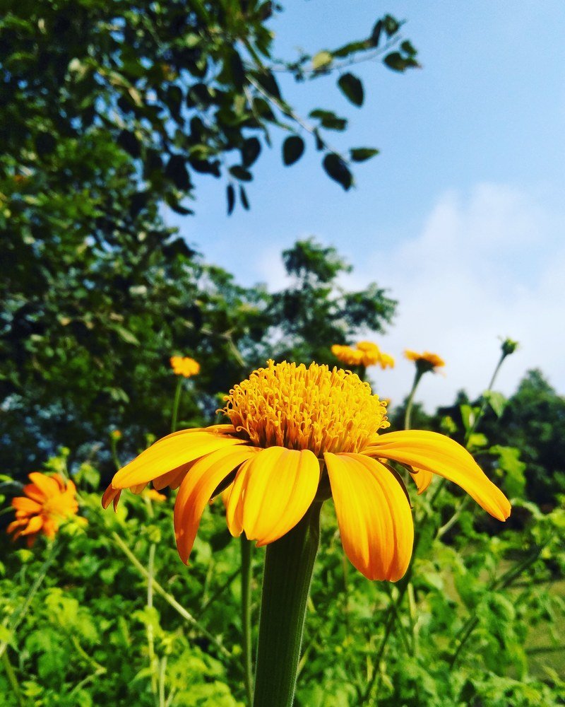 Photograph by Akshaya Dey