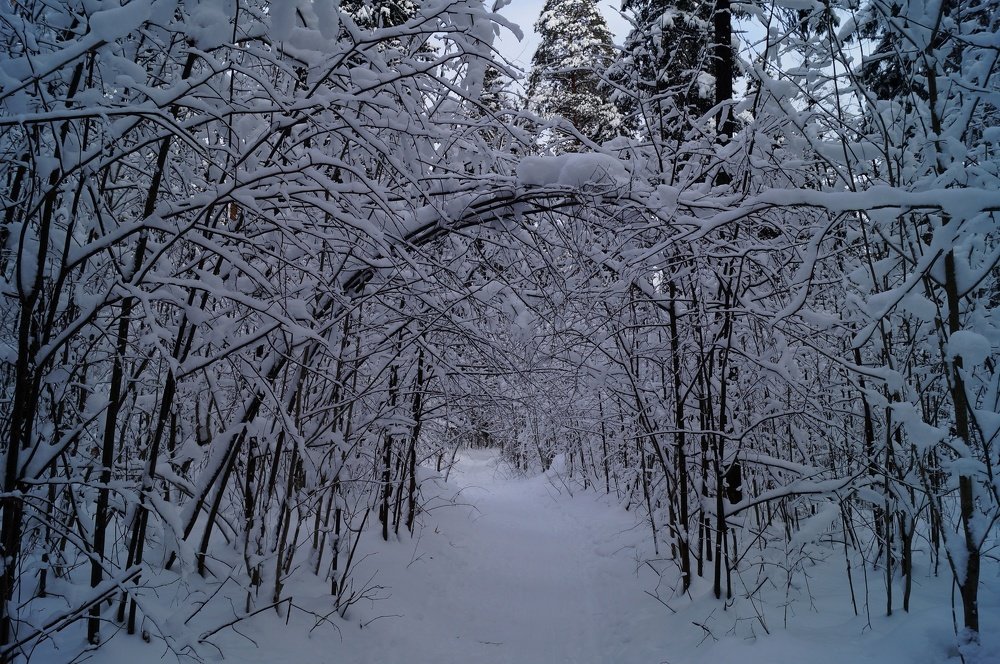 Тоннель в музей зимних скульптур.